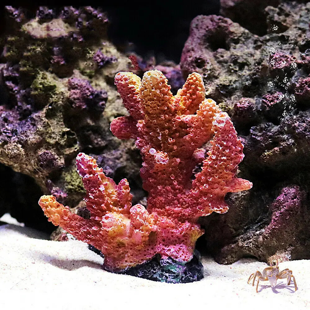 Resin Coral Reef