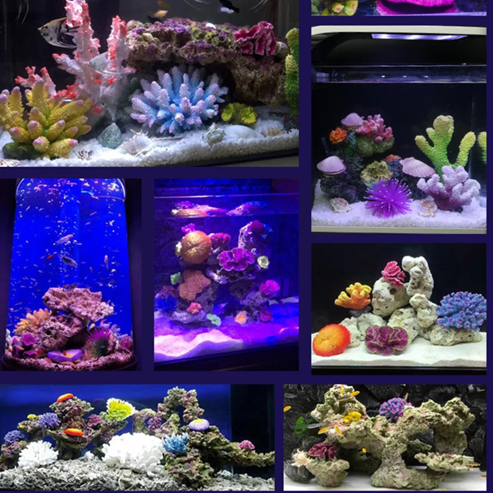 Artificial Coral Reef