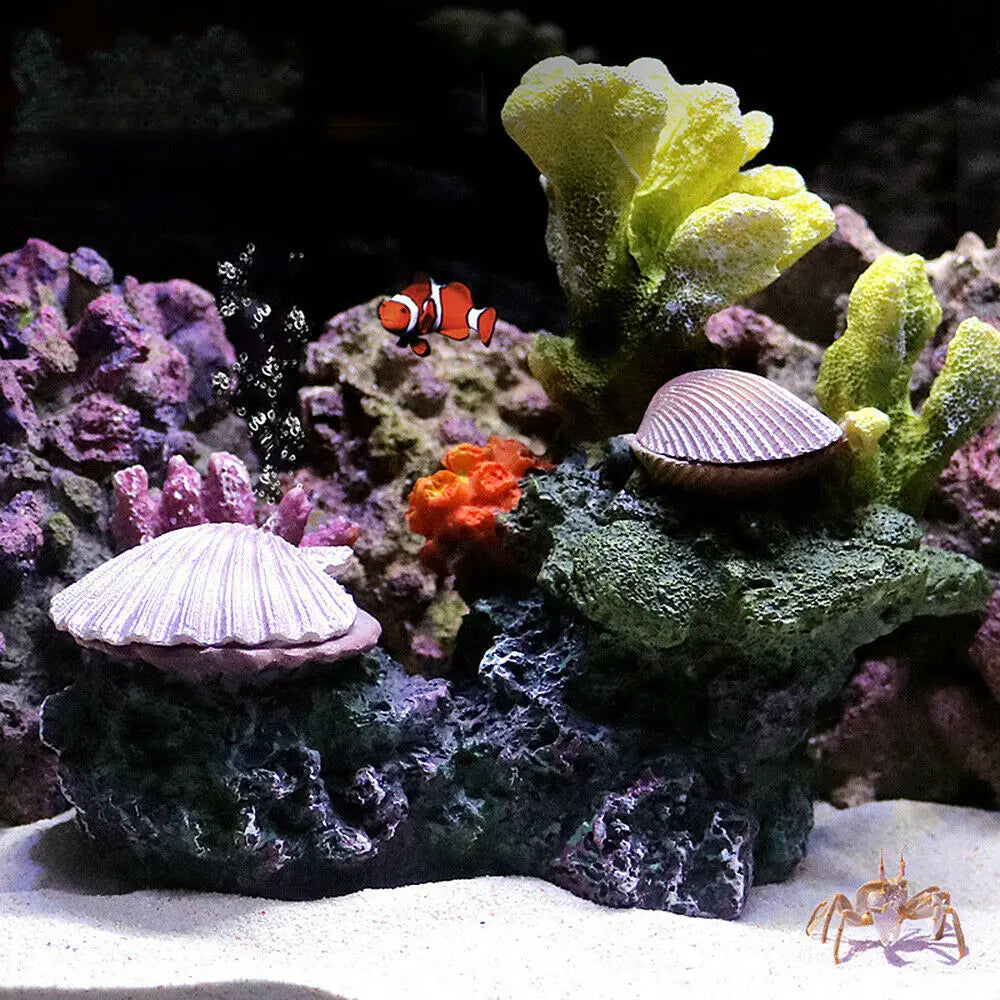 Artificial Coral Reef