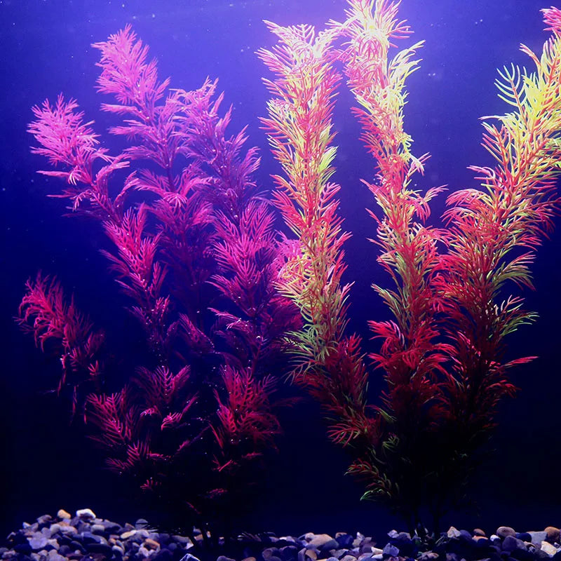 Vibrant Aquarium Plants 65 Varieties