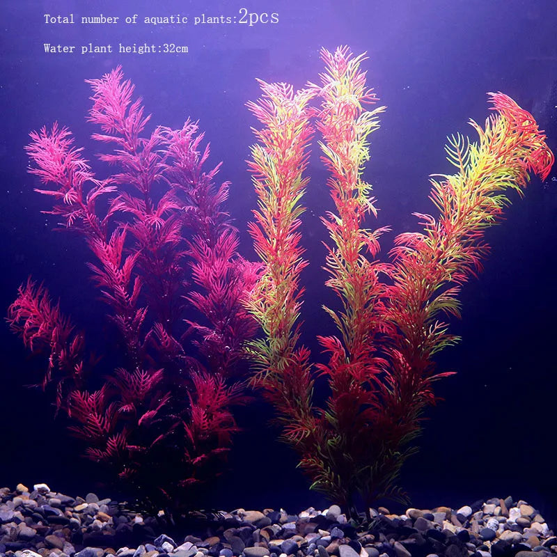 Vibrant Aquarium Plants 65 Varieties