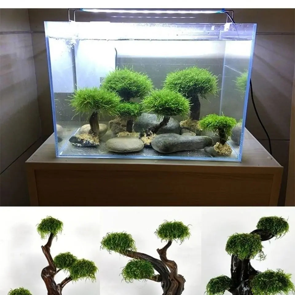 Driftwood Aquatic Tree