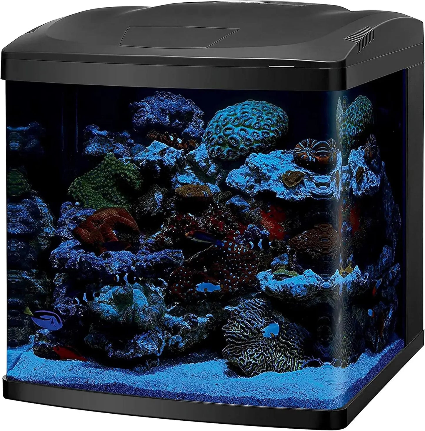 Coralife LED BioCube 32 gallon