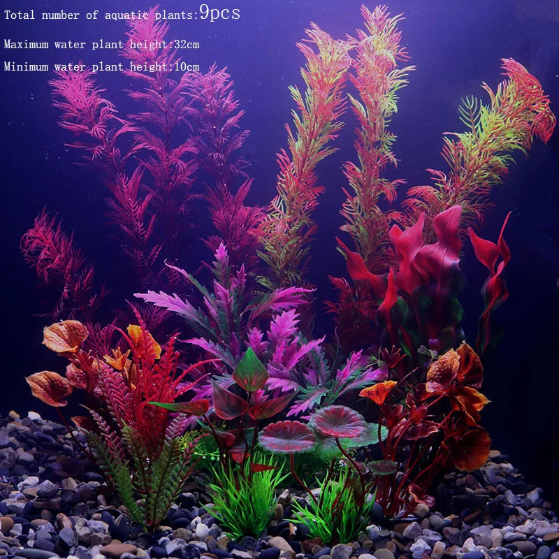 Vibrant Aquarium Plants 65 Varieties