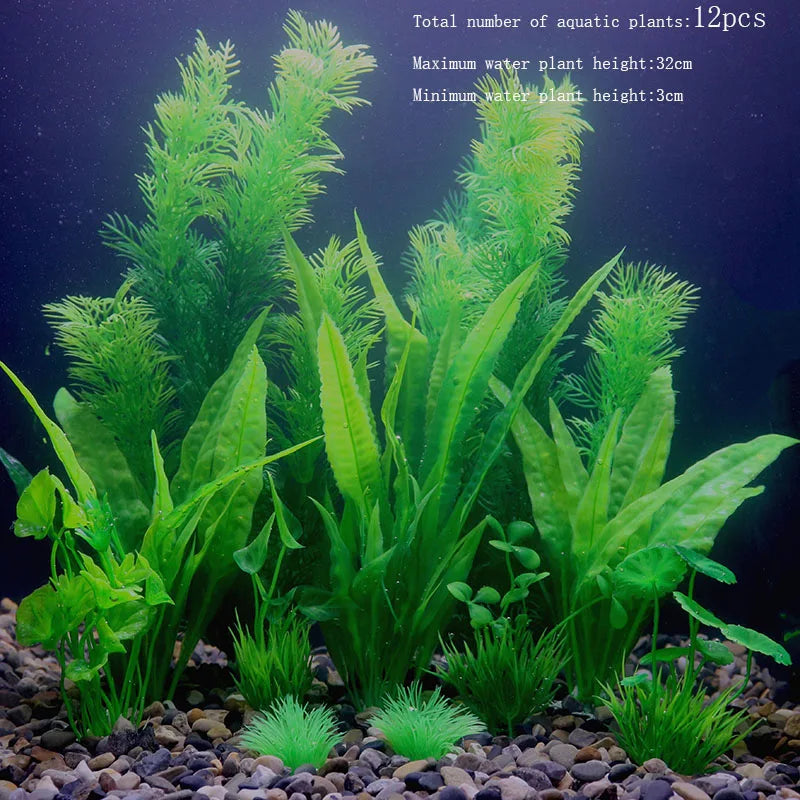 Vibrant Aquarium Plants 65 Varieties