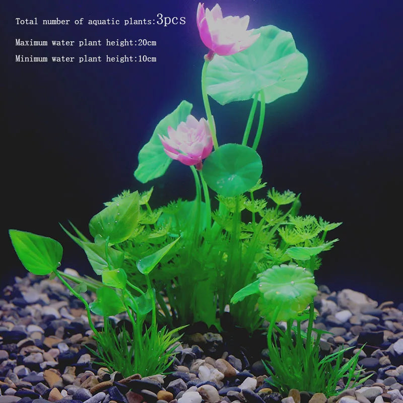 Vibrant Aquarium Plants 65 Varieties