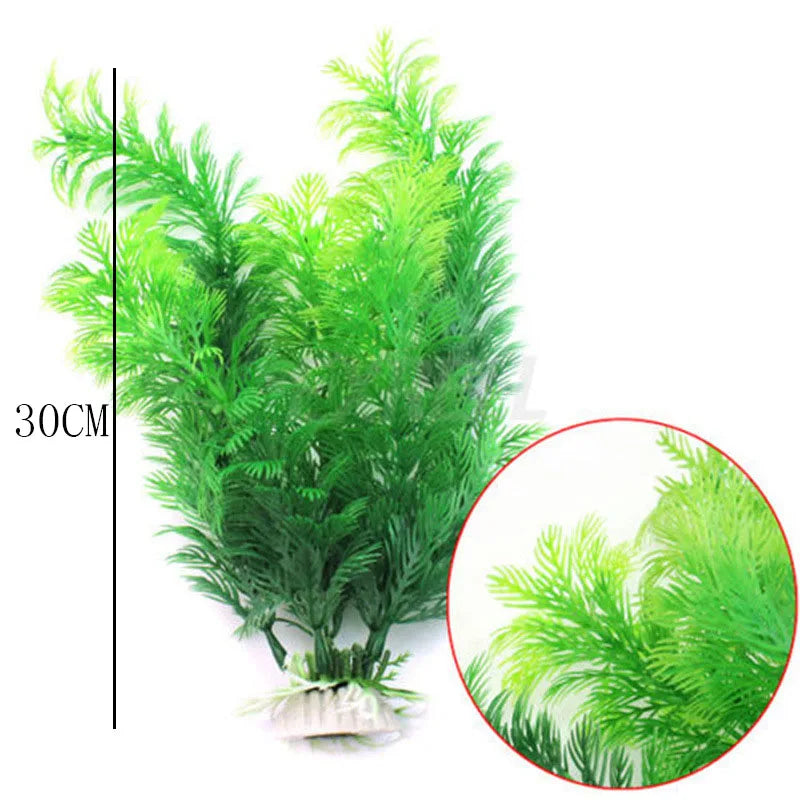 Vibrant Aquarium Plants 65 Varieties