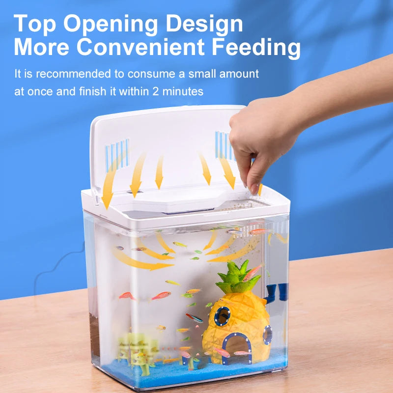 Mini Tabletop goldfish tank