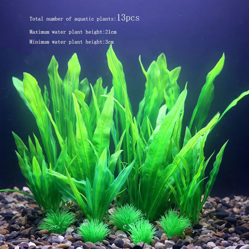 Vibrant Aquarium Plants 65 Varieties