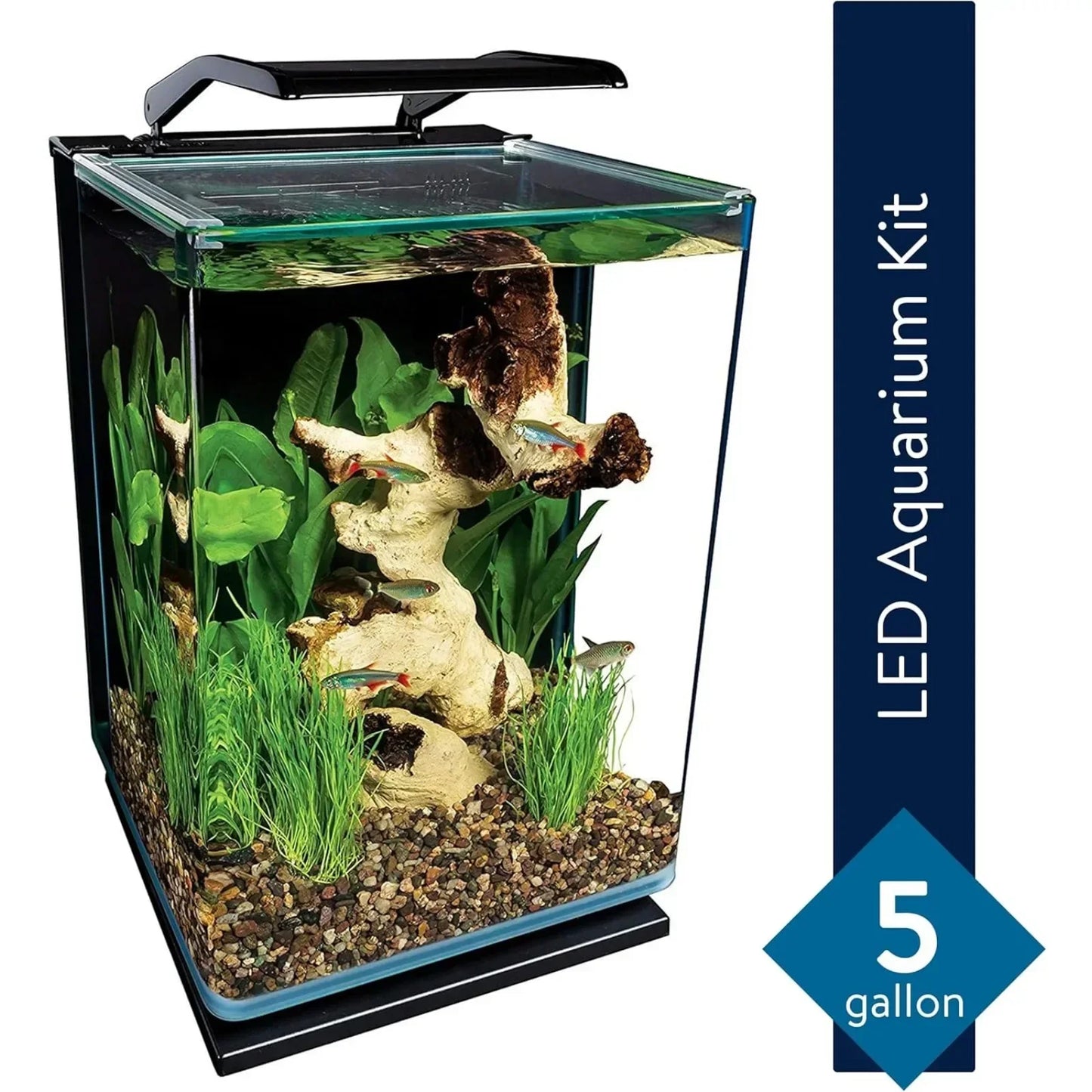 Portrait Glass LED Aquarium, 5 Gallons, Hidden Filtration