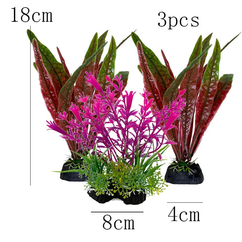 Vibrant Aquarium Plants 65 Varieties