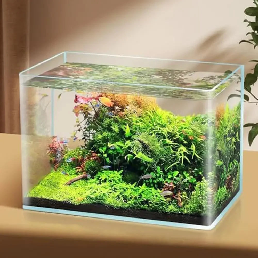 Rimless Glass Cube Fish Tank