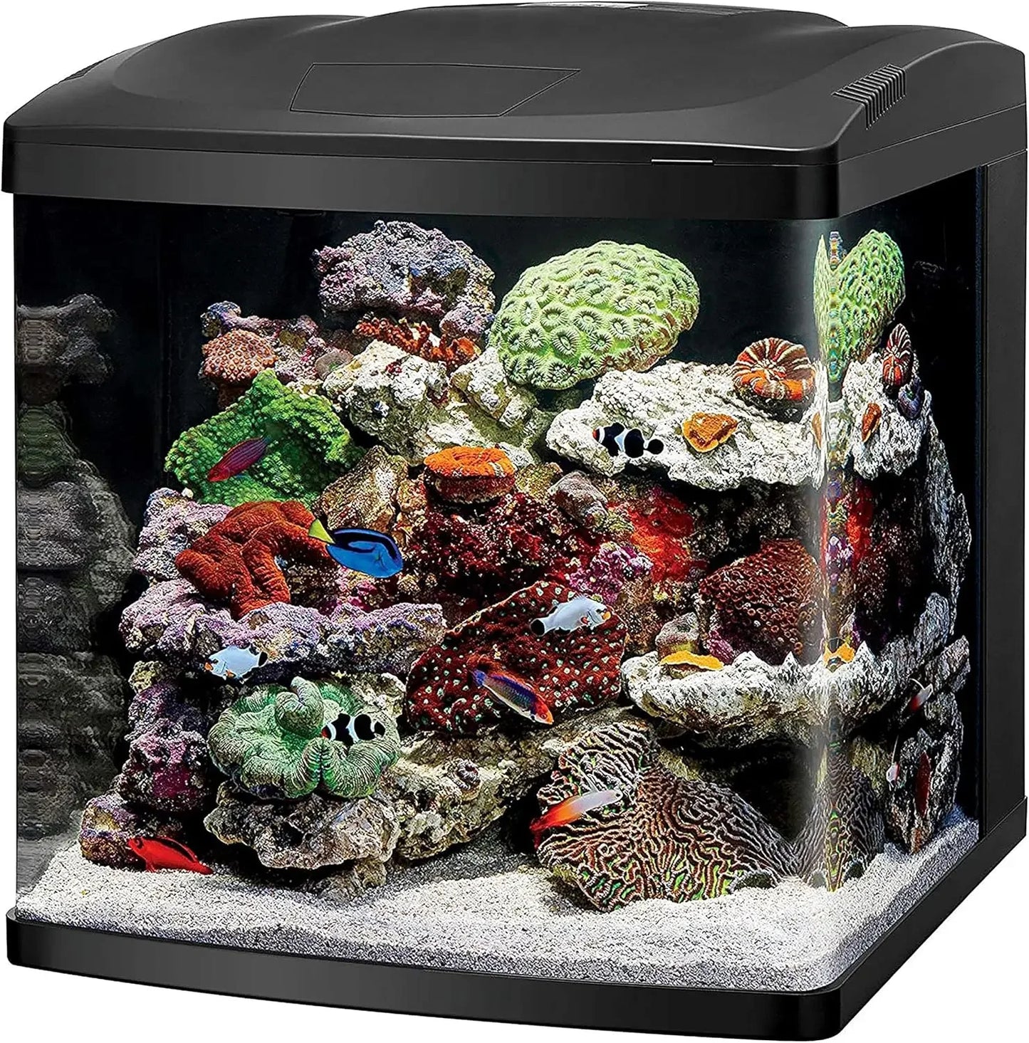 Coralife LED BioCube 32 gallon