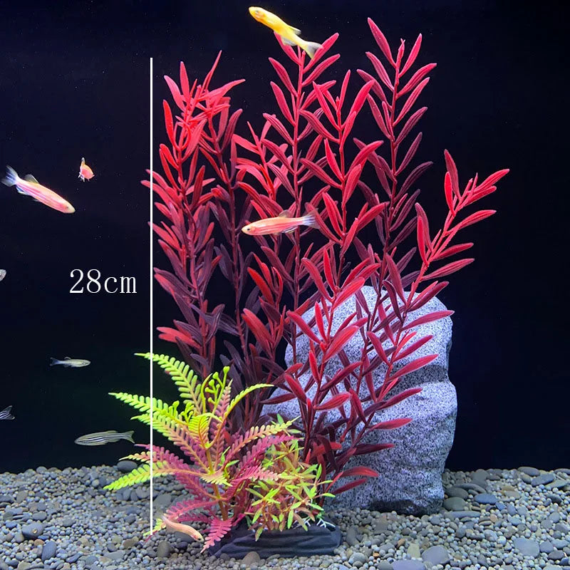 Vibrant Aquarium Plants 65 Varieties