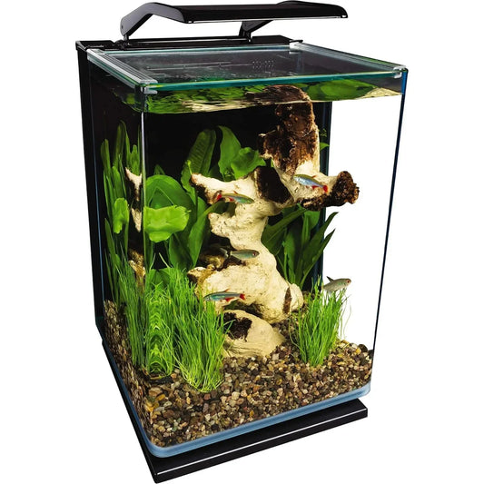 Portrait Glass LED Aquarium, 5 Gallons, Hidden Filtration