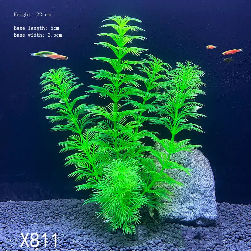 Vibrant Aquarium Plants 65 Varieties