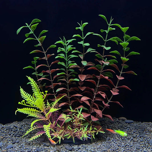 Plastic Marine Plants 43 Varieties