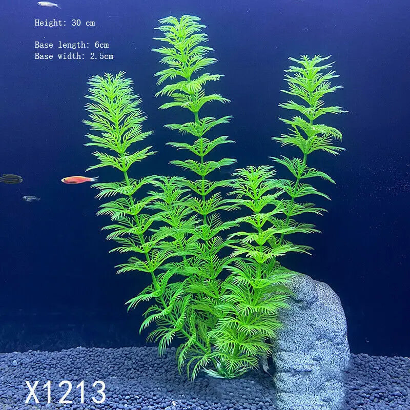 Vibrant Aquarium Plants 65 Varieties