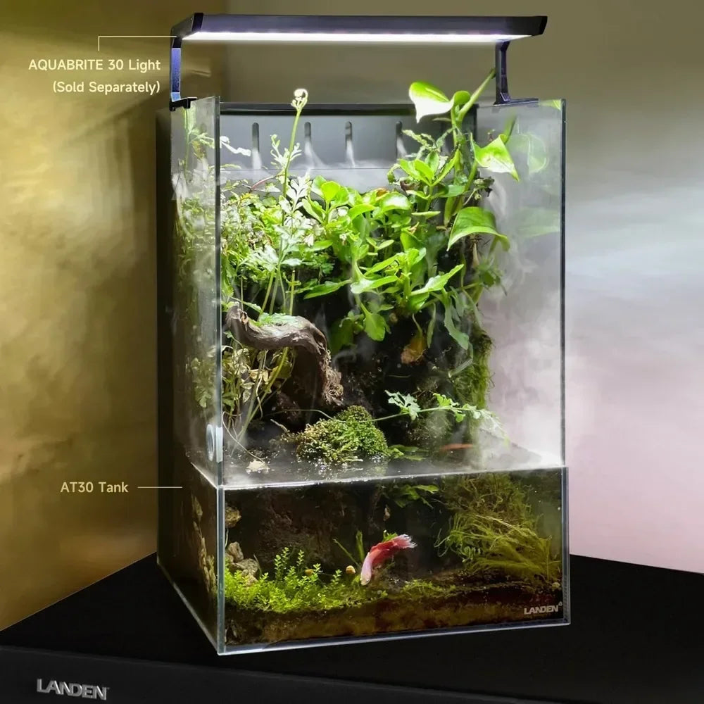 All in One Integrated Paludarium Light Water Pump Mister and Mat Included