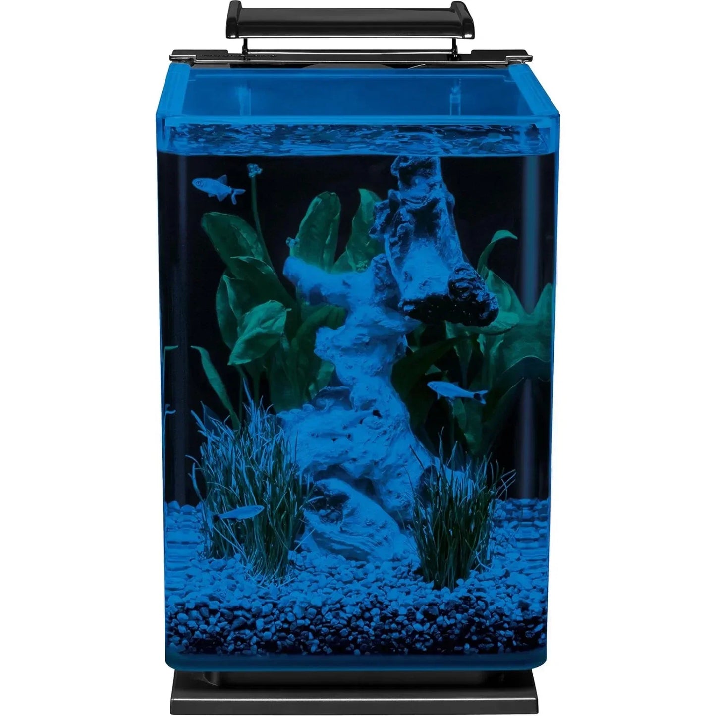 Portrait Glass LED Aquarium, 5 Gallons, Hidden Filtration