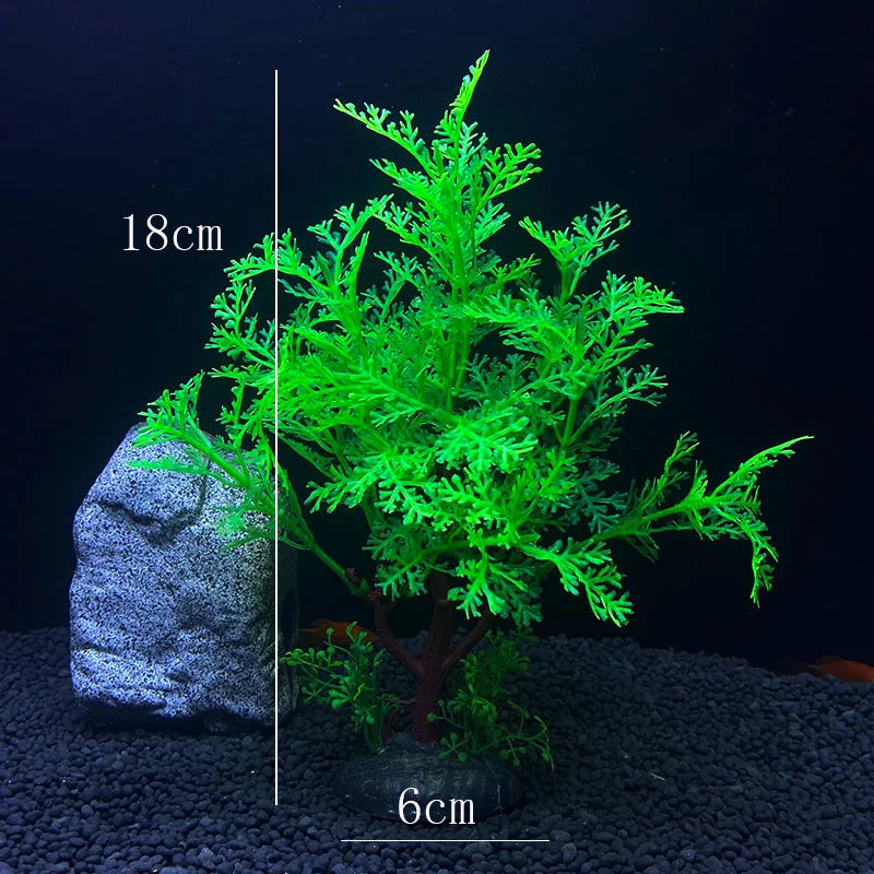 Vibrant Aquarium Plants 65 Varieties