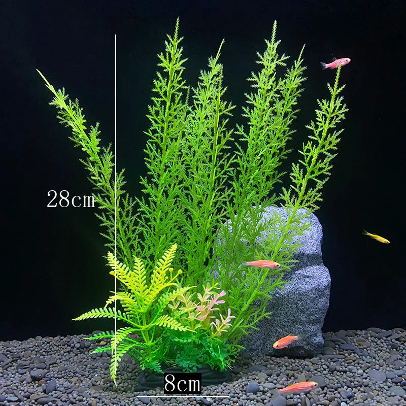 Vibrant Aquarium Plants 65 Varieties