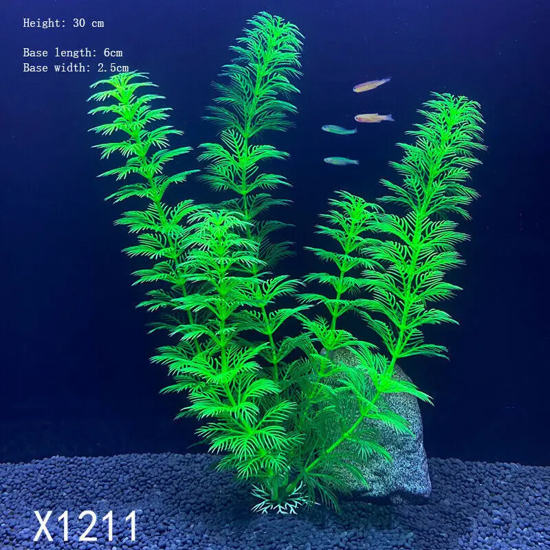 Vibrant Aquarium Plants 65 Varieties