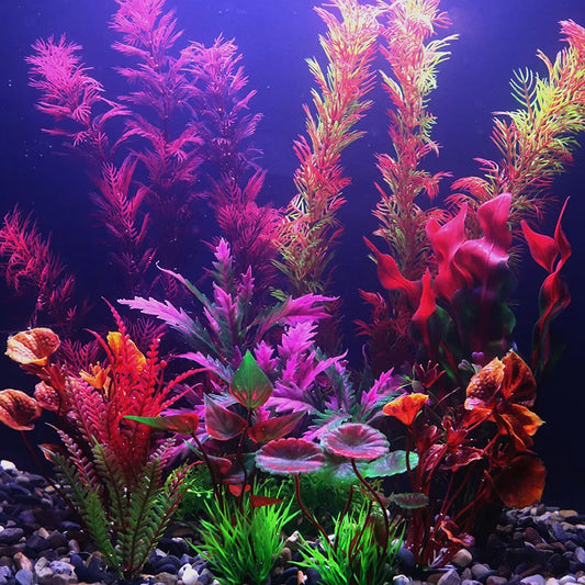 Vibrant Aquarium Plants 65 Varieties