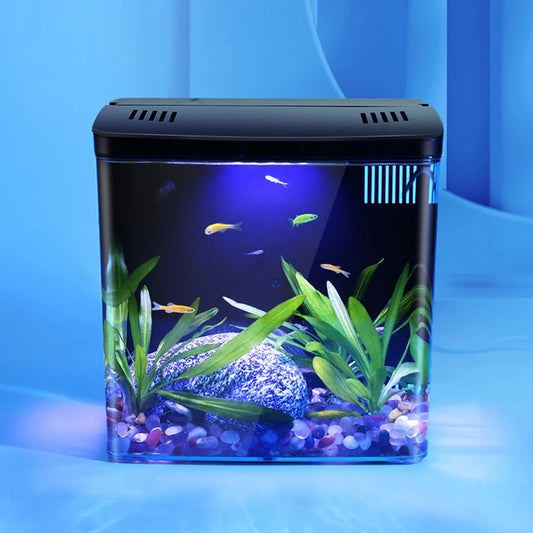 Mini Tabletop goldfish tank