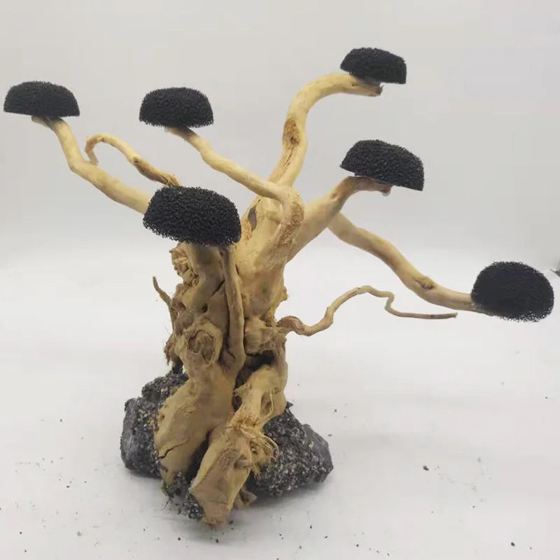 Driftwood Aquatic Tree