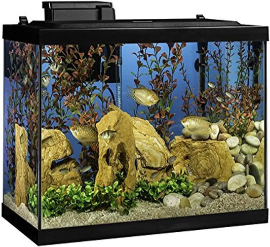 Aquarium 20 Gallon Fish Tank Kit, Includes LED Lighting and Decor