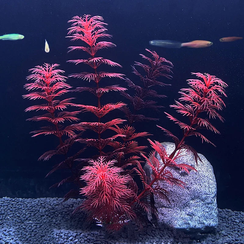 Vibrant Aquarium Plants 65 Varieties