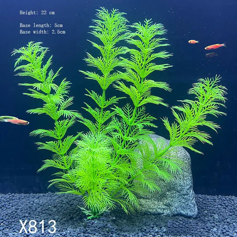 Vibrant Aquarium Plants 65 Varieties