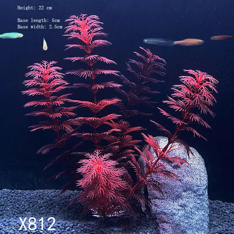 Vibrant Aquarium Plants 65 Varieties